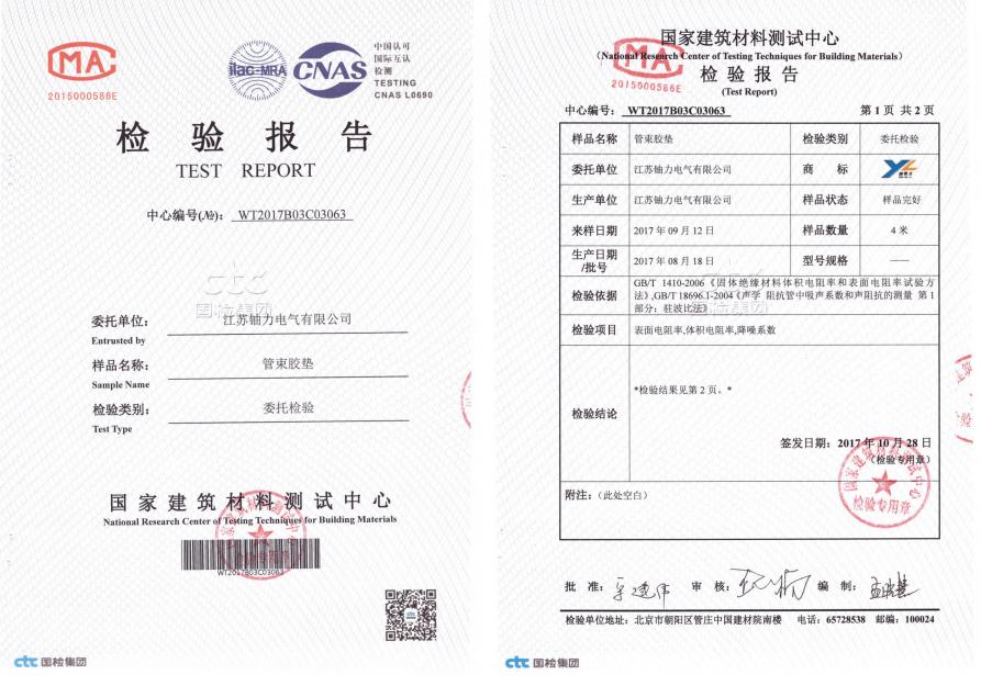 管束膠墊--檢驗(yàn)報(bào)告